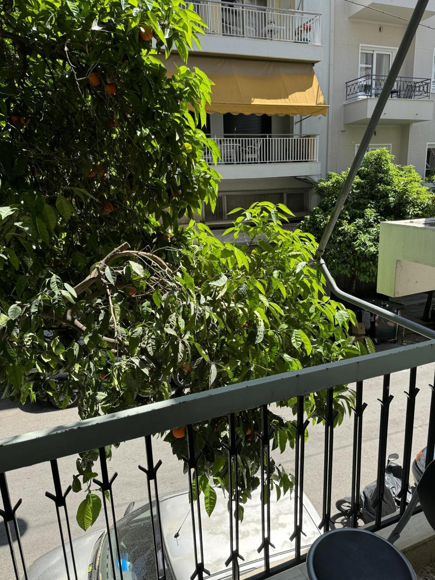 Cozy Apt Next To Acropolis 아테네 외부 사진